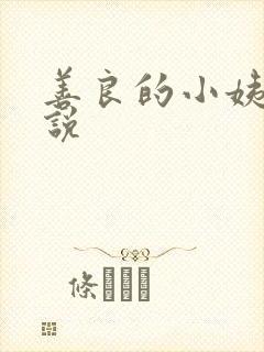 善良的小姨子小说