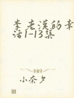 李老汉的幸福生活1-13集