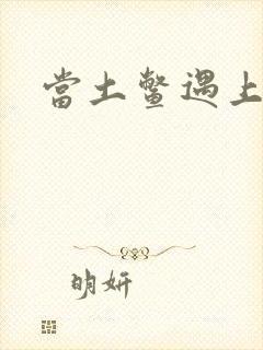 当土鳖遇上海龟