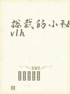 总裁的小秘书1v1h