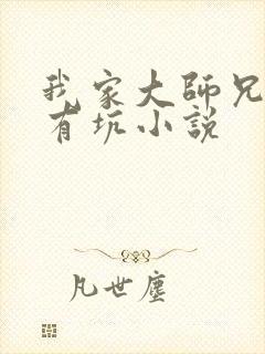 我家大师兄脑子有坑小说