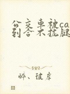 公交车被cao到合不拢腿视频