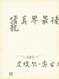 修真界最后一条龙