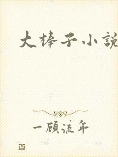 大棒子小说