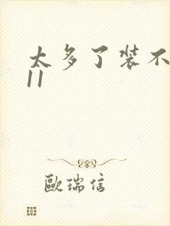 太多了装不下H11