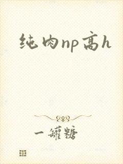 纯肉np高h
