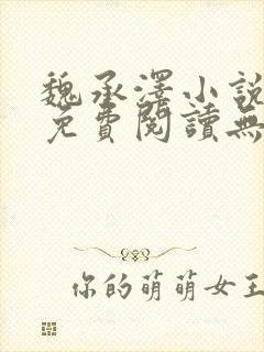 魏承泽小说全文免费阅读无弹窗笔趣