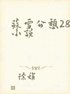 苏雪公憩28篇小说