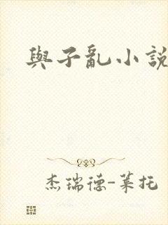 与子乱小说