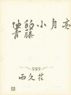 他的小月亮by青藤