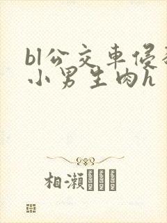 bl公交车侵犯小男生肉h