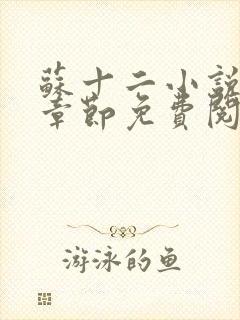 苏十二小说最新章节免费阅读