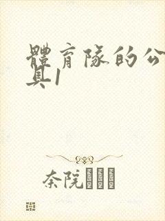 体育队的公用玩具1