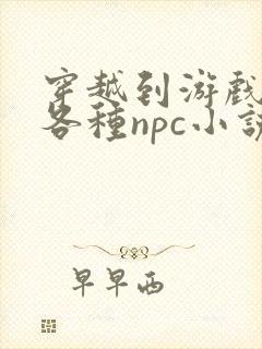 穿越到游戏里和各种npc小说