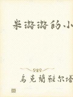 米璐璐的小说
