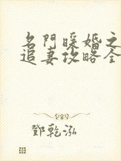 名门暖婚之权爷追妻攻略全文免费阅读