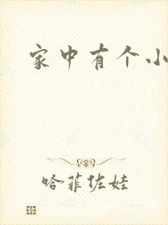 家中有个小姨子