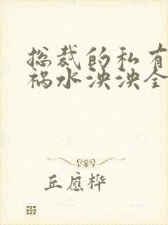 总裁的私有宝贝祸水泱泱全文阅读