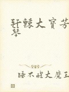 轩辕大宝芳菲雅琴