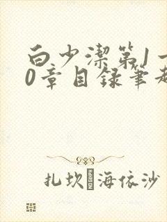 白少洁第1一40章目录笔趣阁