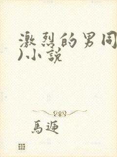 激烈的男同(h)小说