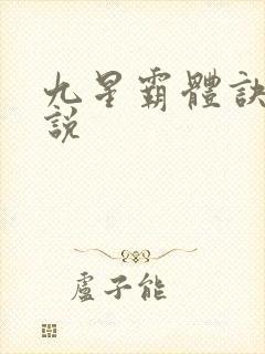 九星霸体诀 小说