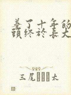 养了十年的小丫头终于长大了