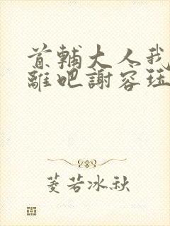 首辅大人我们和离吧谢容珏