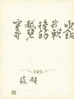 穿越后我吃到了哥儿的软饭炉山灰