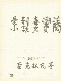 爱到春潮滚滚来小说免费阅读