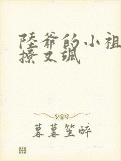 陆爷的小祖宗又撩又飒