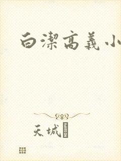 白洁高义小说