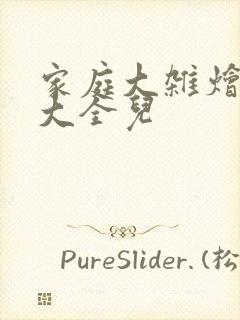 家庭大杂烩小说大全儿