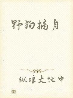 野狗摘月