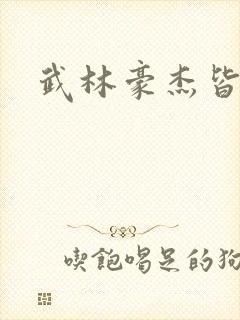 武林豪杰皆我奴