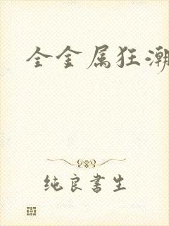 全金属狂潮小说