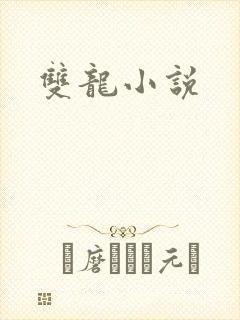 双龙小说
