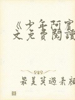 《少年阿宾》全文免费阅读