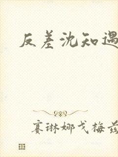 反差沈知遇晏应