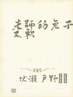 老师的兔子又大又软