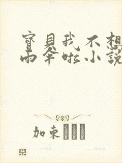 宝贝我不想带小雨伞啦小说