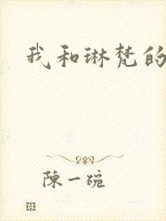 我和琳梵的故事