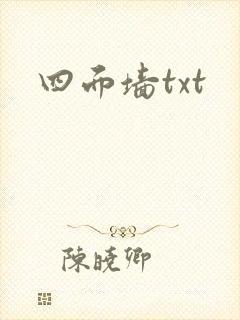 四面墙txt