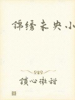 锦绣未央小说