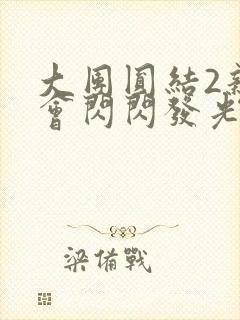 大团圆结2亲情会闪闪发光亲情会2