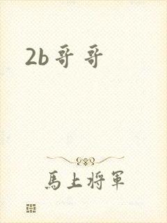 2b哥哥