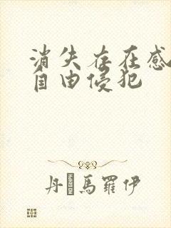 消失存在感消失自由侵犯