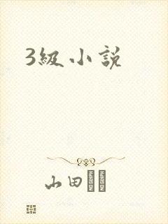 3级小说
