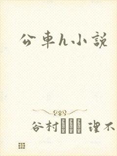 公车h小说