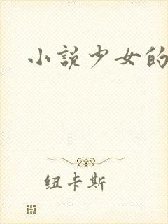 小说少女的心